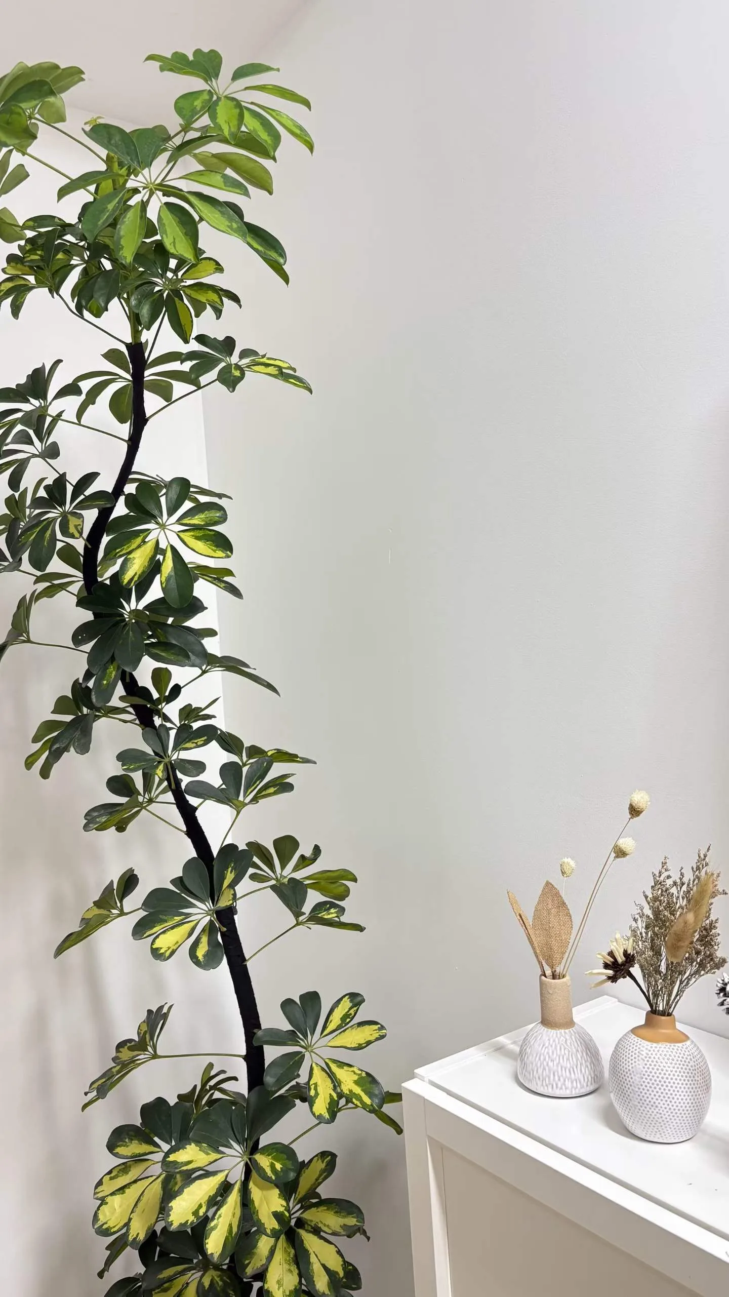 咨询室环境照片（另一角度）